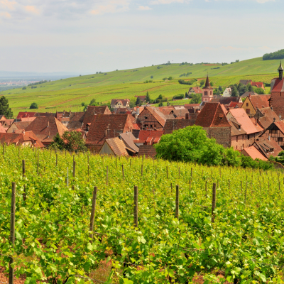 First Stop on the Alsace Wine Route