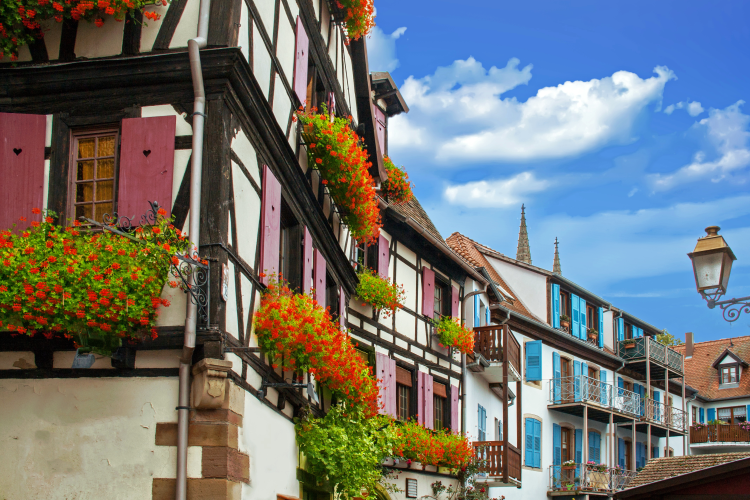 Ophorus Tours - Private Alsace Wine Route Villages Tour from Colmar