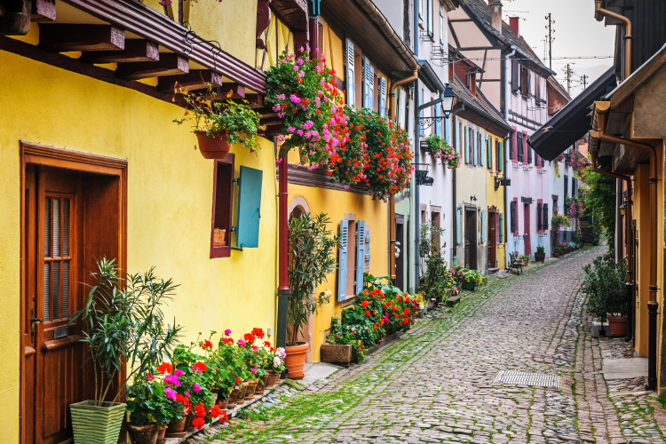 Ophorus Tours - Alsace Villages & Wines Private Half Day Tour from Colmar