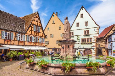 Ophorus Tours - Alsace Villages & Wine Tour from Colmar: A Private Half-day Journey
