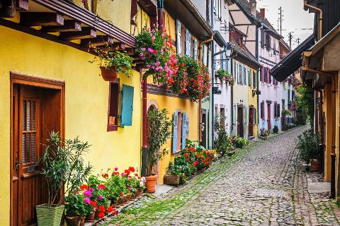 Ophorus Tours - Alsace Villages & Wine Tour from Colmar: A Private Half-day Journey