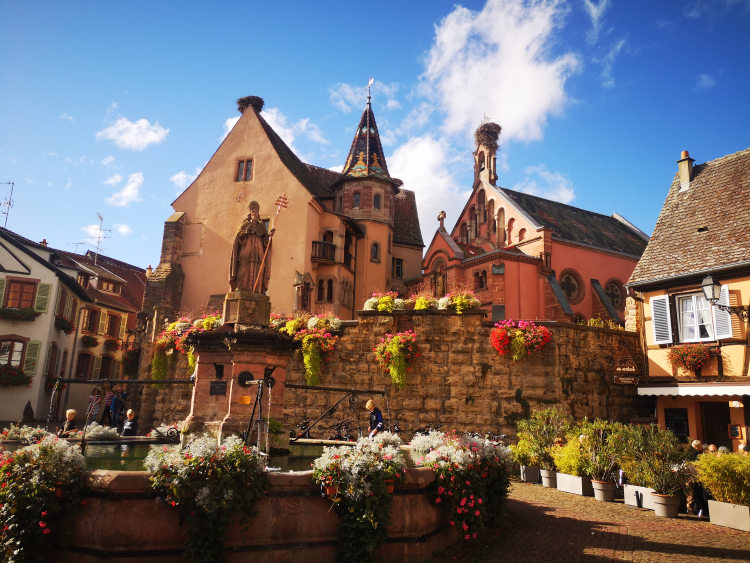 Ophorus Tours - Alsace Wine Tour from Colmar: A half-day Vineyard Excursion