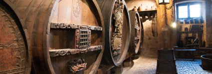 Ophorus Tours - Alsace Wine Tour from Colmar: A half-day Vineyard Excursion
