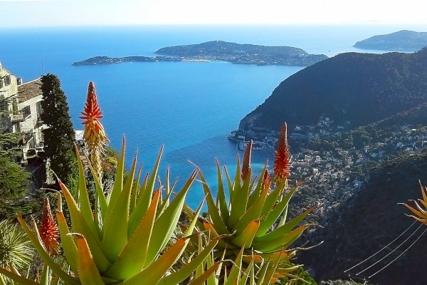 Ophorus Tours - From Cannes Cruise Port to Eze, Monaco & Monte Carlo shore excursion private