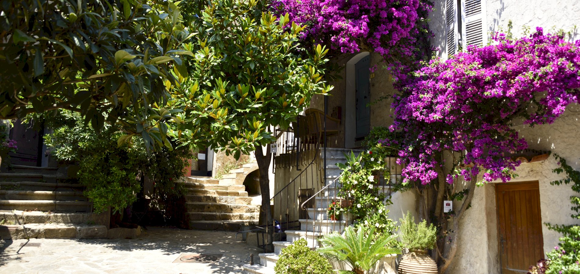 Ophorus Tours - Grimaud, Gassin & Ramatuelle Villages Private Shore Excursion From Saint Tropez