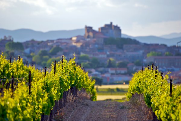 Ophorus Tours - From Sète Port Languedoc Wine Tour Shore Excursion private