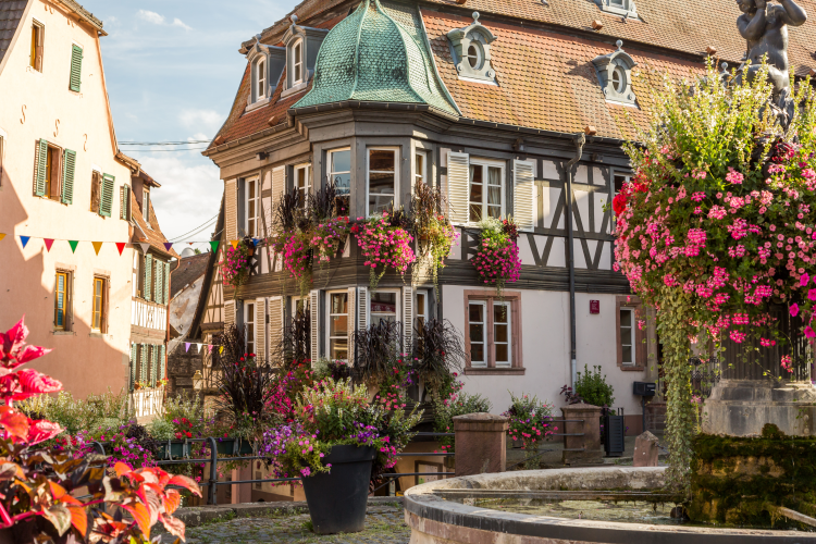 Ophorus Tours - Alsace Grands Crus Private Wine Tour from Colmar