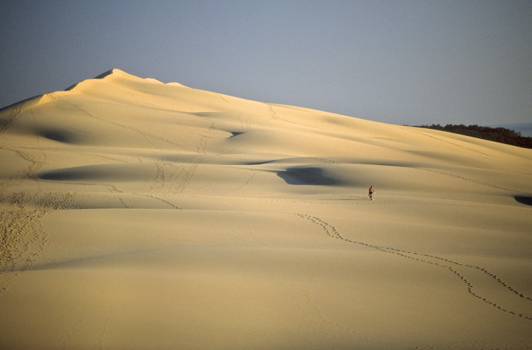 Ophorus Tours - Arcachon Bay Discovery Private Full Day Tour From Bordeaux