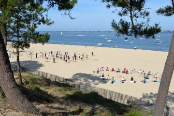 Ophorus Tours - Arcachon Bay Discovery Private Full Day Tour From Bordeaux