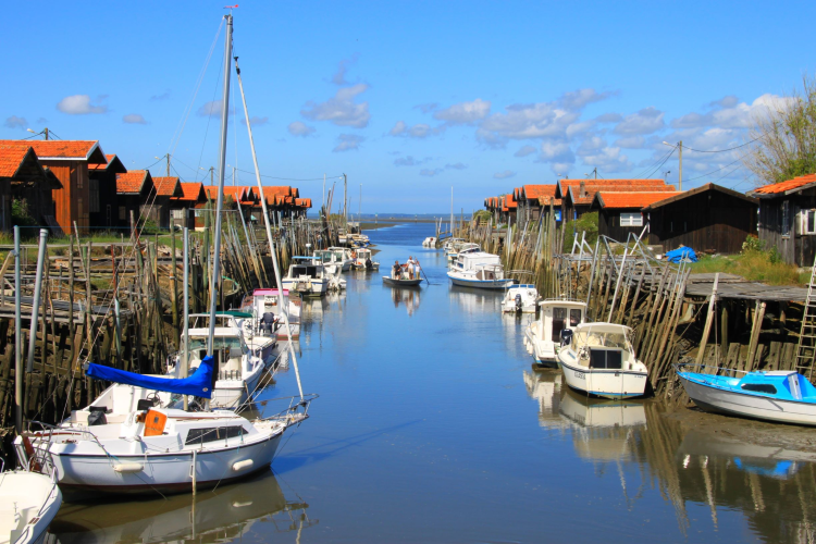 Ophorus Tours - Arcachon Bay Discovery Private Full Day Tour From Bordeaux