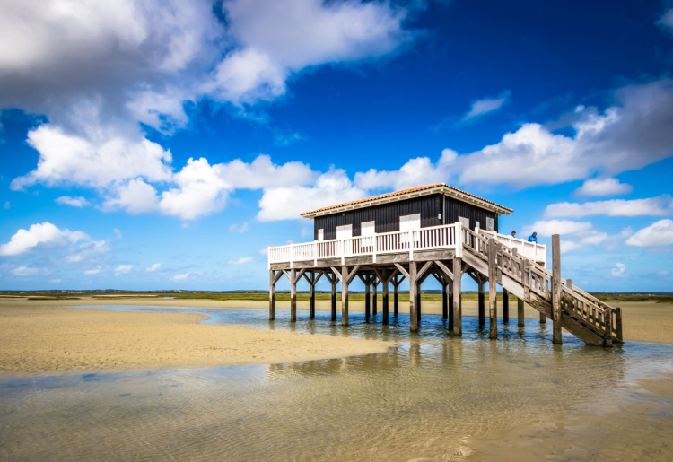 Ophorus Tours - Arcachon Bay Discovery Private Full Day Tour From Bordeaux