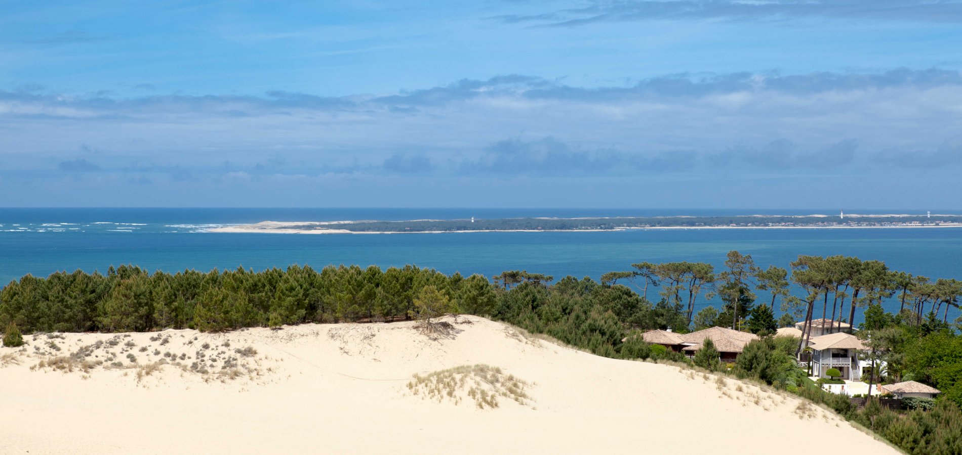 Ophorus Tours - Arcachon Bay & Pilat Sand Dune Private Day Trip From Bordeaux