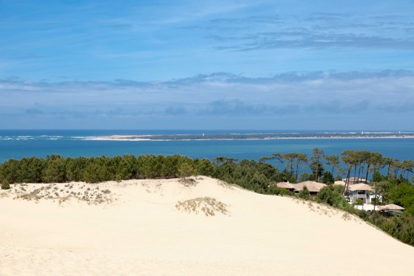 Ophorus Tours - Bordeaux Escape: Explore Arcachon Bay & Pilat Dune Privately