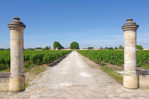 Ophorus Tours - From Bordeaux to Margaux Private Transfer
