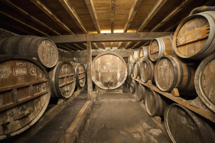 Ophorus Tours - Bordeaux to Armagnac: Private Day Trip with Distillery Tours & Tastings
