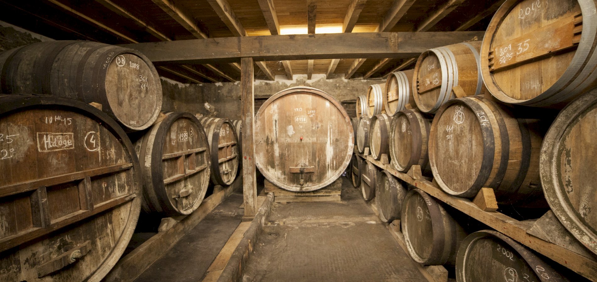 Ophorus Tours - A Private Day Trip from Bordeaux to Armagnac Distilleries & Tasting Tour