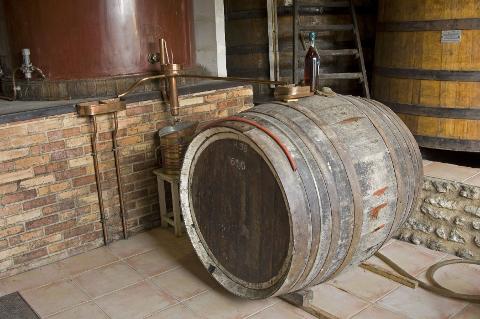 Ophorus Tours - Bordeaux to Armagnac: Private Day Trip with Distillery Tours & Tastings