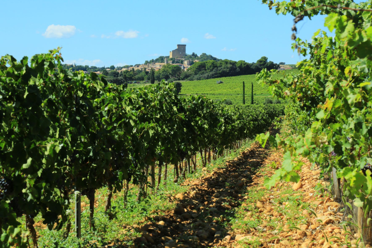 Ophorus Tours - Châteauneuf-du-Pape Private Wine Tour from Aix-en-Provence