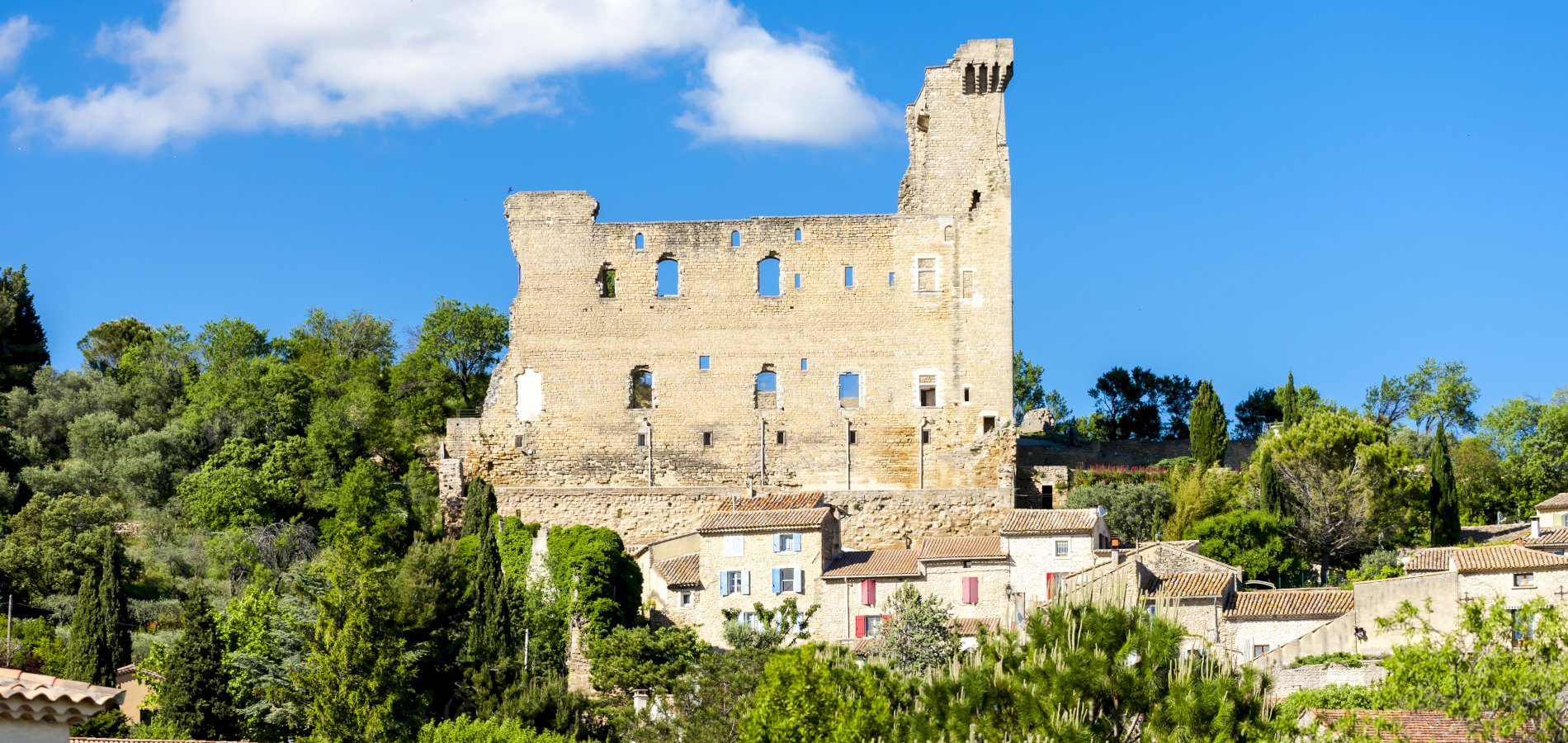 Ophorus Tours - Châteauneuf-du-Pape Wine Tour: A Private Vineyard Voyage