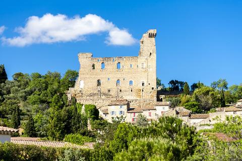 Ophorus Tours - Châteauneuf-du-Pape Wine Tour: A Private Vineyard Voyage