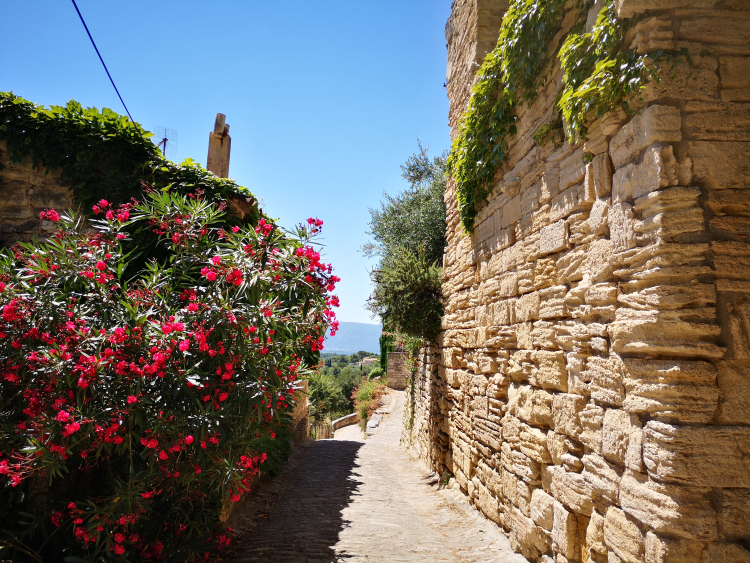 Ophorus Tours - Luberon Villages Private Tour from Aix-en-Provence
