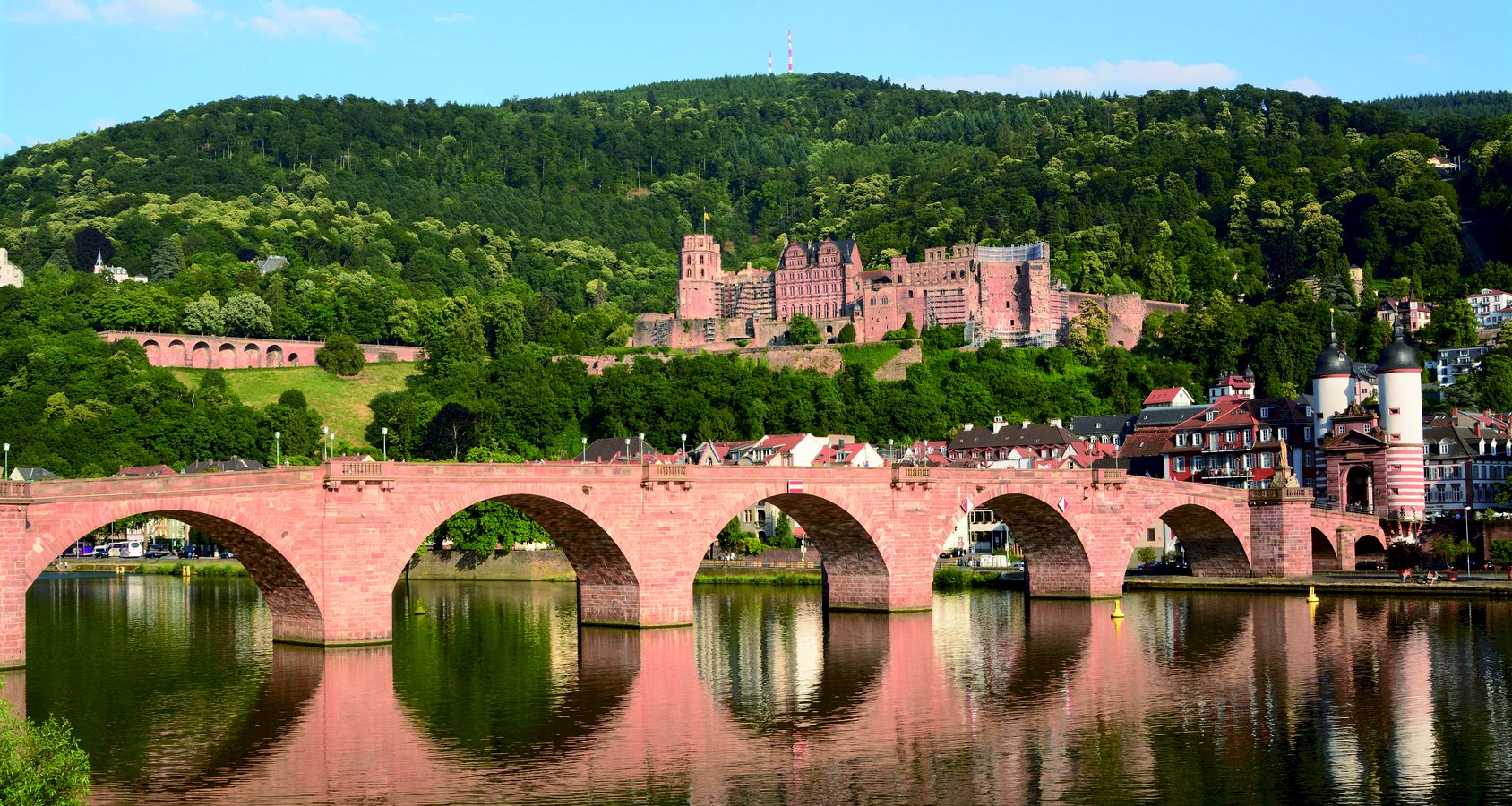 Ophorus Tours - Strasbourg Private Sightseeing Transfer to Frankfurt 