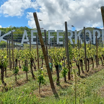 Third Grand Cru Visit