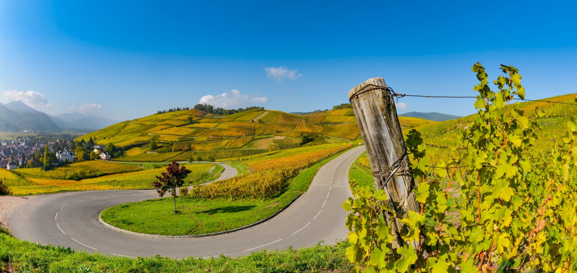 Ophorus Tours - Alsace Grands Crus Wine Journey Private Tour from Strasbourg