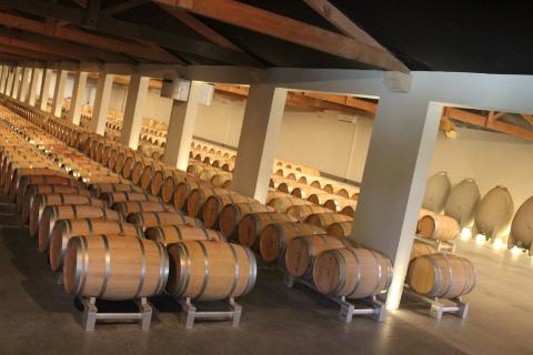Ophorus Tours - Luxury Médoc Getaway: Full day Private Wine Tour for 2 from Bordeaux