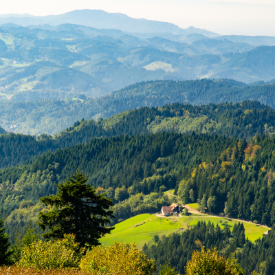 Drive along the Black Forest High Road