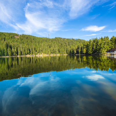 Stop at Mummelsee and forest viewpoints
