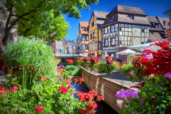 Ophorus Tours - A Private Day Trip from Strasbourg to Colmar, Riquewihr & Haut Koenigsbourg for 2 persons