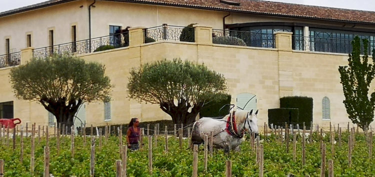 Ophorus Tours - Private Saint-Émilion Full Day Wine Tour from Bordeaux for 2