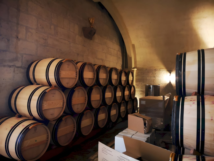 Ophorus Tours - Private Saint-Émilion Full Day Wine Tour from Bordeaux for 2