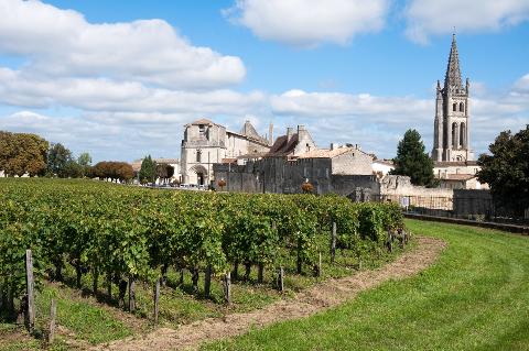 Ophorus Tours - Private Half-Day Saint-Émilion Wine Tour for 2 – Bordeaux Departure