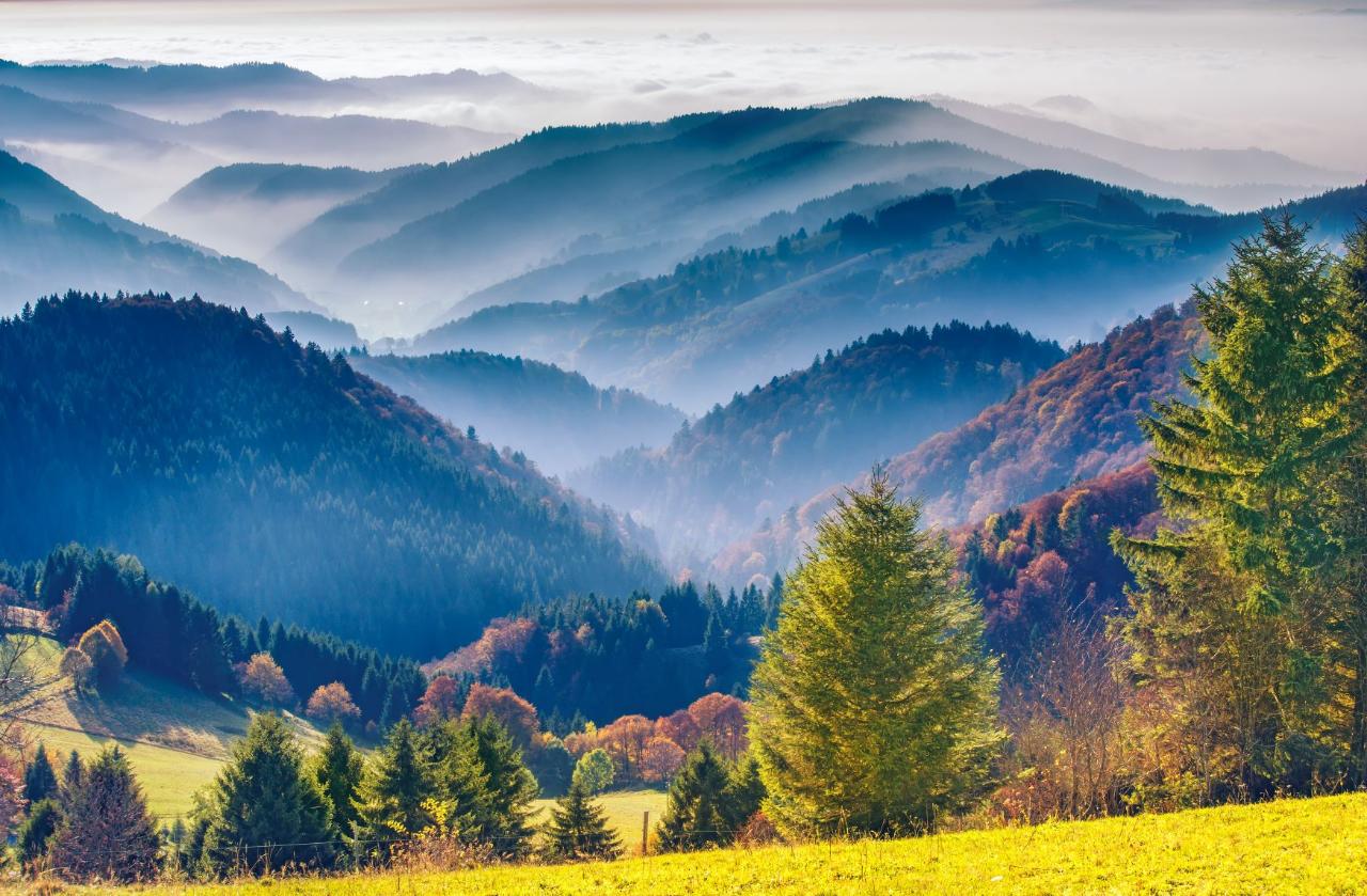 black forest day trip from freiburg