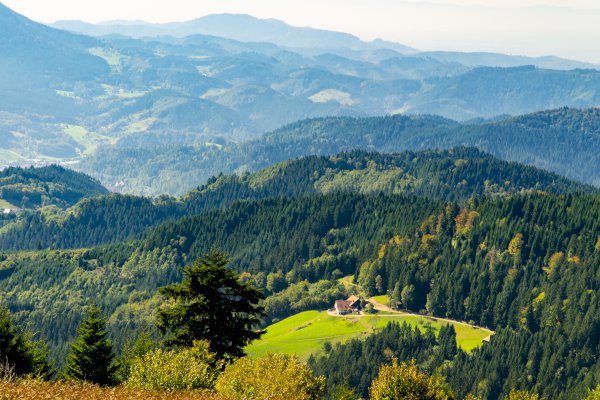 Ophorus Tours - Freiburg & The Black Forest Private Day Trip from Colmar for 2 persons