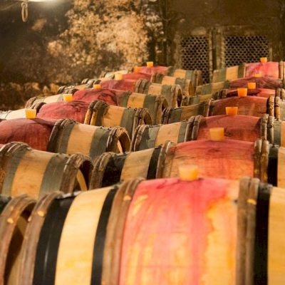 Traditional Cellar – Optional Burgundy Wine Tasting