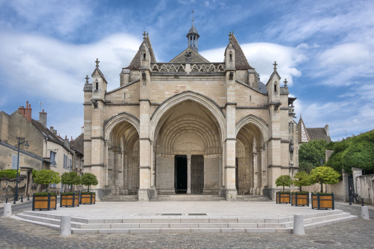 Ophorus Tours - Explore Beaune's Medieval Heart : Private guided walking Tour