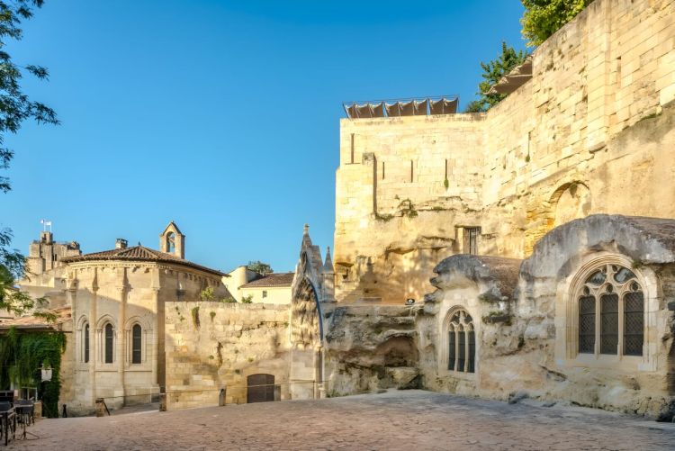 Ophorus Tours - Explore Saint-Emilion & the Right Bank: Private Vineyard Tour & Tastings