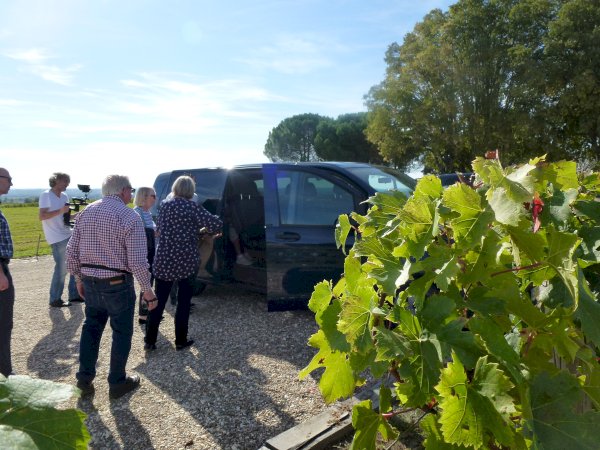 Ophorus Tours - Explore Saint-Emilion & the Right Bank: Private Vineyard Tour & Tastings