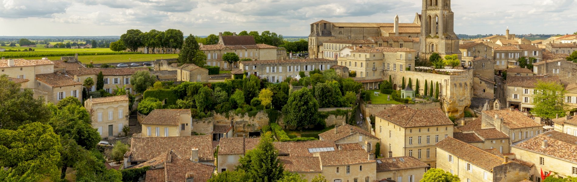 Ophorus Tours - Saint-Émilion Wine Adventure: Private Bordeaux Vineyard Half-Day Tour