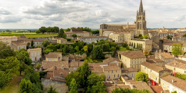 Ophorus Tours - Saint-Émilion Wine Adventure: Private Bordeaux Vineyard Half-Day Tour
