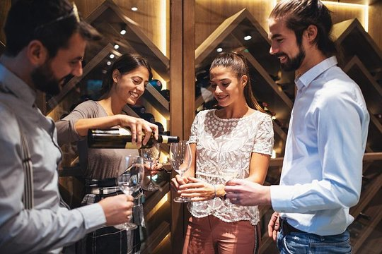 Ophorus Tours - Saint-Émilion Private Half-Day Wine Tour From Bordeaux