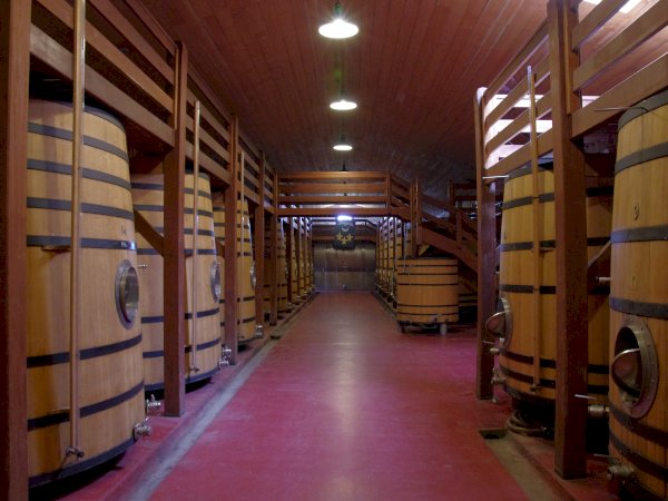 Ophorus Tours - Taste the Best of Graves: Private Half-Day Wine Tour from Bordeaux