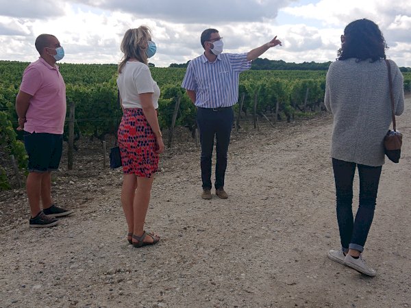 Ophorus Tours - Taste the Best of Graves: Private Half-Day Wine Tour from Bordeaux