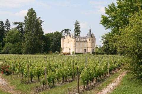 Ophorus Tours - Taste the Best of Graves: Private Half-Day Wine Tour from Bordeaux