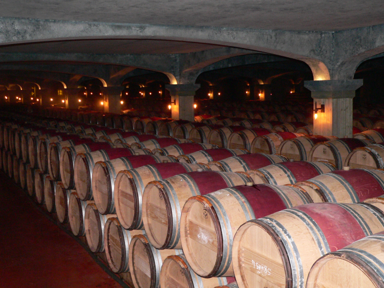 Ophorus Tours - Graves Wine Tour Private Half Day Trip From Bordeaux