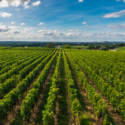 Winery