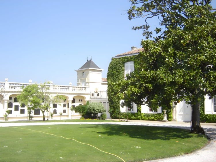 Ophorus Tours - Médoc Wine Tour Private Half Day Trip From Bordeaux